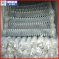 Galvanized Chain link fence with cheap price